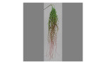 Grashänger 96 cm aus Kunststoff mit grünen Blättern mit roten Verlauf. Auf einem grauen Hintergrund.